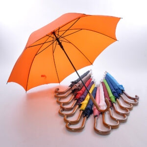 24 inch Metal Non UV umbrella